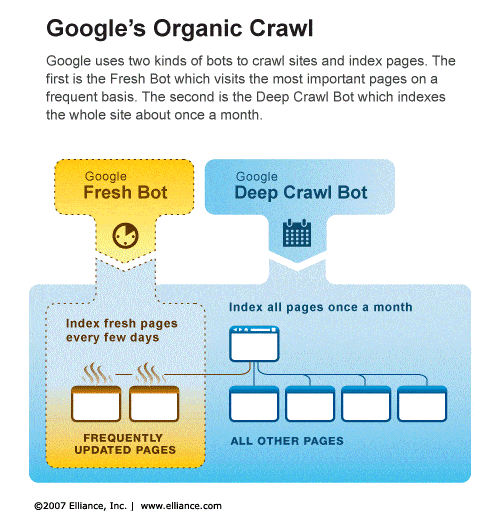 Google Organic Crawl